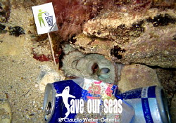no pollution - save our seas by Claudia Weber-Gebert 